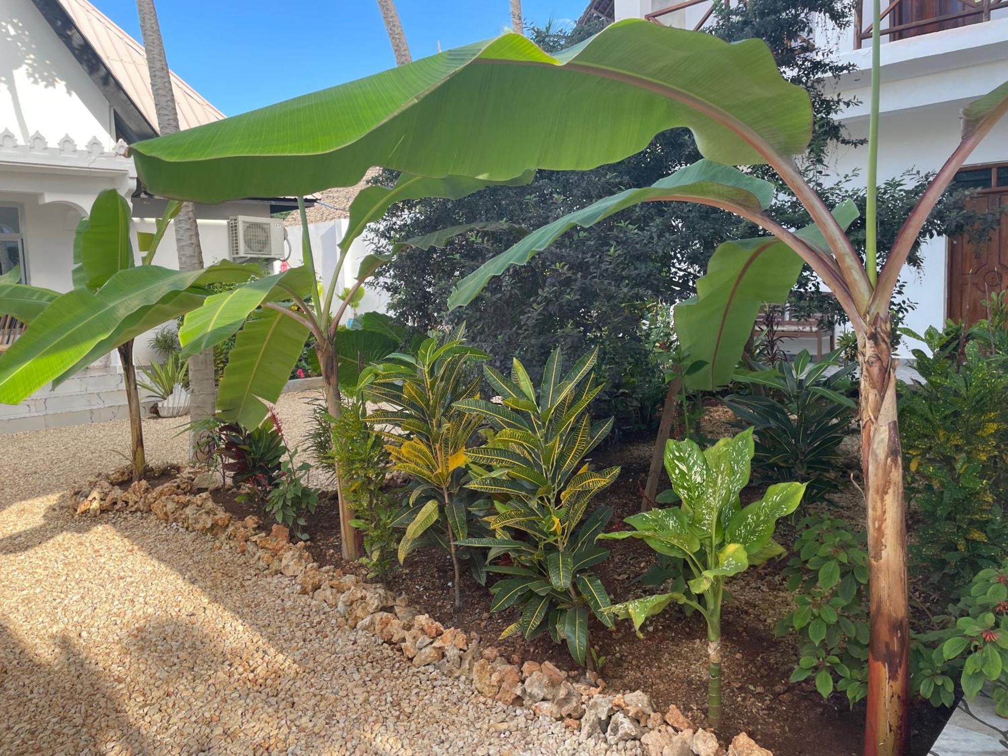 Daniel Zanzibar Hotel Nungwi Kültér fotó